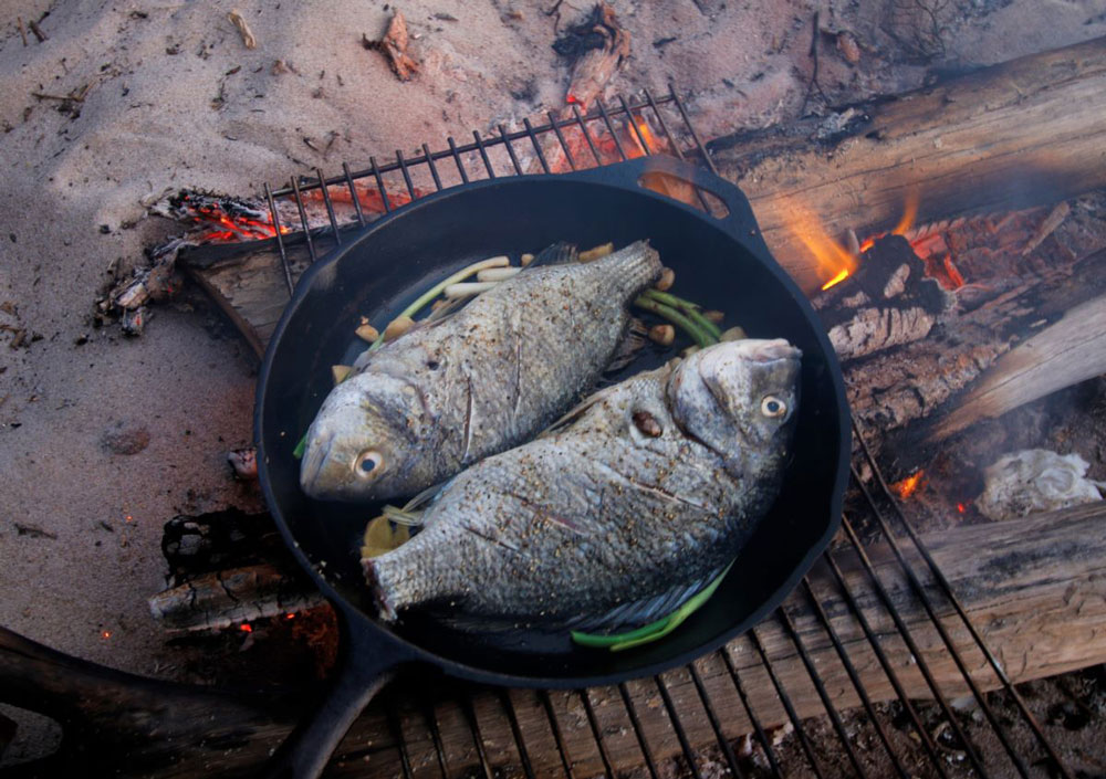 Outdoor cooking - Bream on the campfire