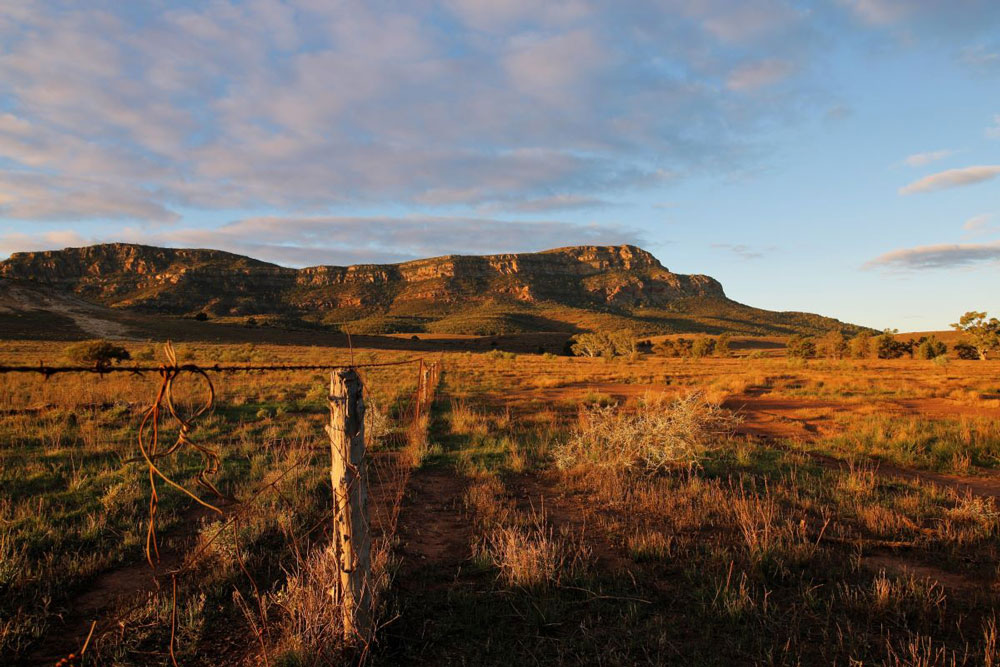 Flinders Ranges National Park (Ikara)