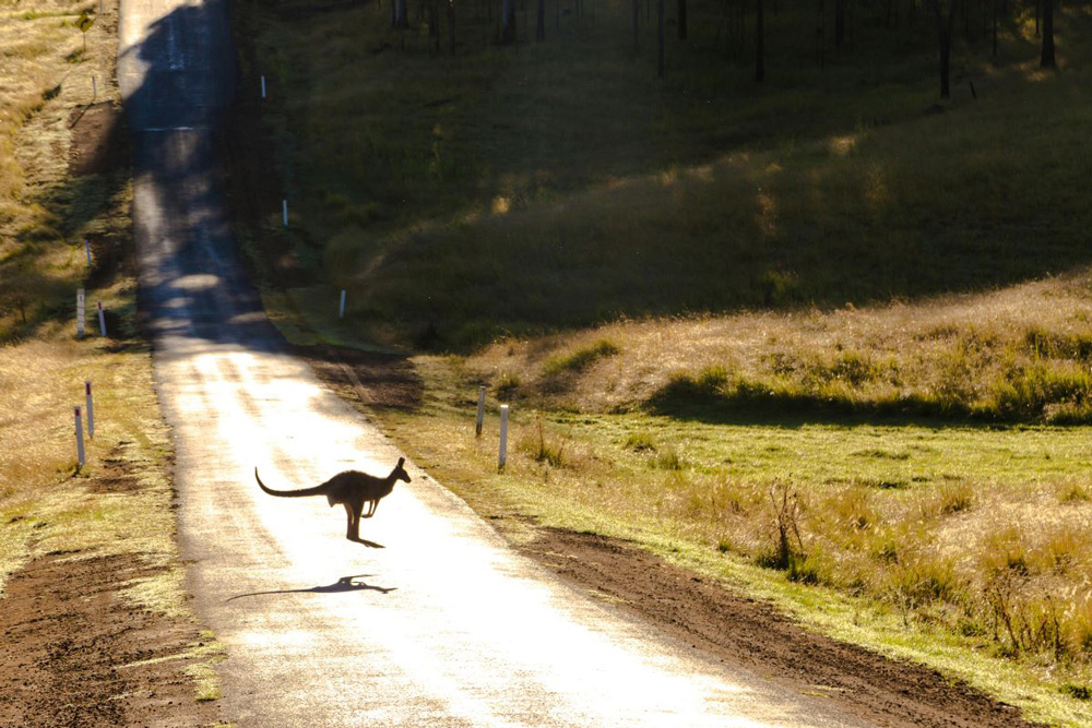 Staying Safe While Travelling in Australia image